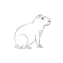Capybara (Animals) coloring page #207598 to print and color