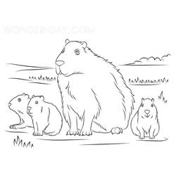 Capybara (Animals) coloring page #207599 to print and color