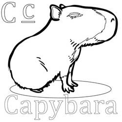 Capybara (Animals) coloring page #207603 to print and color