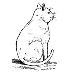 Cat (Animals) coloring page #174951 to print and color