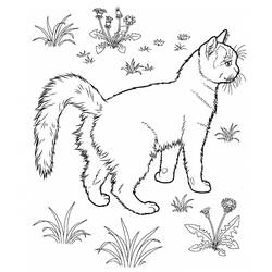 Cat (Animals) coloring page #174952 to print and color
