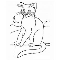 Cat (Animals) coloring page #174954 to print and color