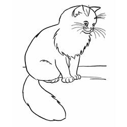 Cat (Animals) coloring page #174955 to print and color