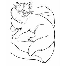 Cat (Animals) coloring page #174956 to print and color