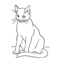 Cat (Animals) coloring page #174966 to print and color