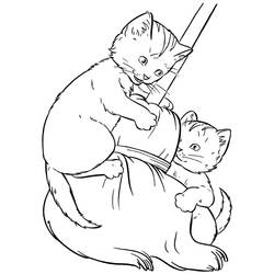 Cat (Animals) coloring page #174974 to print and color