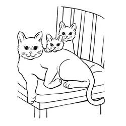 Cat (Animals) coloring page #174975 to print and color