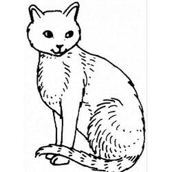 Cat (Animals) coloring page #174988 to print and color