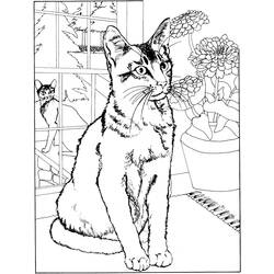 Coloring page: Cat (Animals) #1772 - Free Printable Coloring Pages