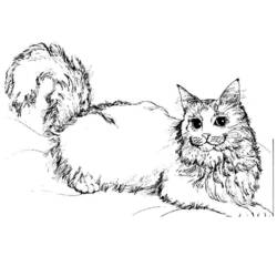 Coloring page: Cat (Animals) #1773 - Free Printable Coloring Pages