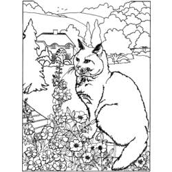 Coloring page: Cat (Animals) #1790 - Free Printable Coloring Pages
