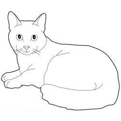 Coloring page: Cat (Animals) #1793 - Printable coloring pages