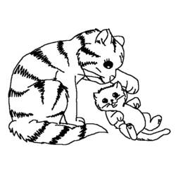 Coloring page: Cat (Animals) #1799 - Printable coloring pages