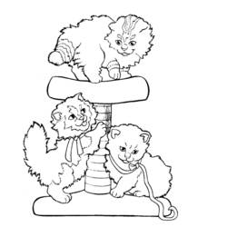 Coloring page: Cat (Animals) #1820 - Free Printable Coloring Pages
