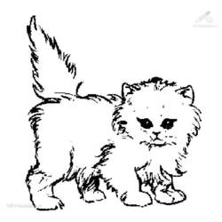 Coloring page: Cat (Animals) #1832 - Free Printable Coloring Pages