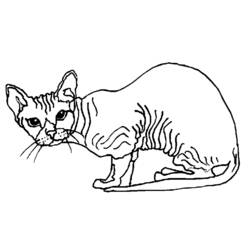 Coloring page: Cat (Animals) #1841 - Free Printable Coloring Pages