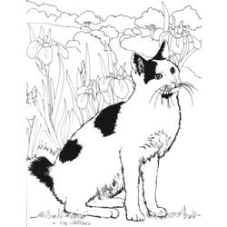 Coloring page: Cat (Animals) #1846 - Free Printable Coloring Pages