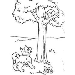 Coloring page: Cat (Animals) #1849 - Free Printable Coloring Pages