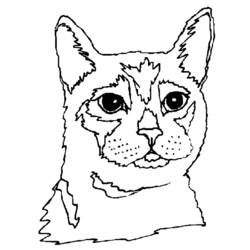 Coloring page: Cat (Animals) #1856 - Free Printable Coloring Pages