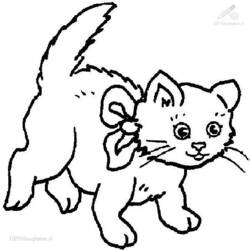 Coloring page: Cat (Animals) #1863 - Free Printable Coloring Pages