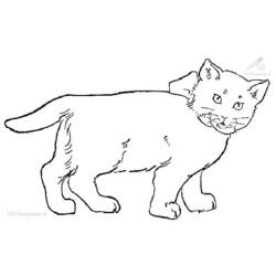 Coloring page: Cat (Animals) #1882 - Free Printable Coloring Pages