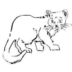 Coloring page: Cat (Animals) #1902 - Free Printable Coloring Pages