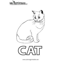 Coloring page: Cat (Animals) #1916 - Free Printable Coloring Pages