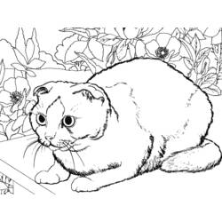 Coloring page: Cat (Animals) #1928 - Printable coloring pages
