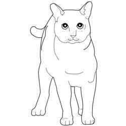 Coloring page: Cat (Animals) #1935 - Free Printable Coloring Pages