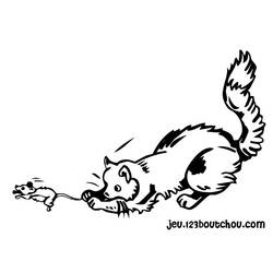 Coloring page: Cat (Animals) #1951 - Free Printable Coloring Pages