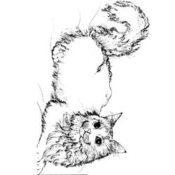 Coloring page: Cat (Animals) #1955 - Free Printable Coloring Pages
