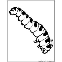 Coloring page: Caterpillar (Animals) #18238 - Printable coloring pages