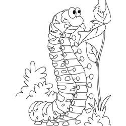 Coloring page: Caterpillar (Animals) #18244 - Free Printable Coloring Pages