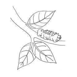 Coloring page: Caterpillar (Animals) #18245 - Free Printable Coloring Pages