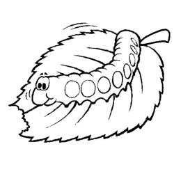 Coloring page: Caterpillar (Animals) #18268 - Free Printable Coloring Pages