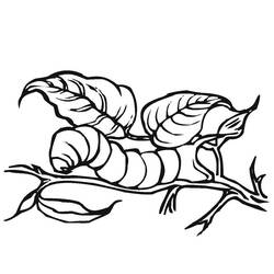 Coloring page: Caterpillar (Animals) #18271 - Free Printable Coloring Pages
