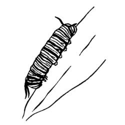 Coloring page: Caterpillar (Animals) #18272 - Free Printable Coloring Pages