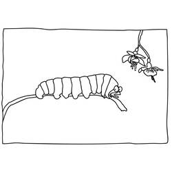 Coloring page: Caterpillar (Animals) #18363 - Free Printable Coloring Pages