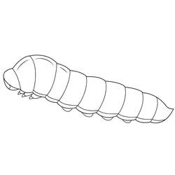 Caterpillar (Animals) coloring page #210381 to print and color