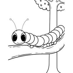 Caterpillar (Animals) coloring page #210401 to print and color