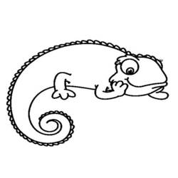 Coloring page: Chameleon (Animals) #1398 - Printable Coloring Pages