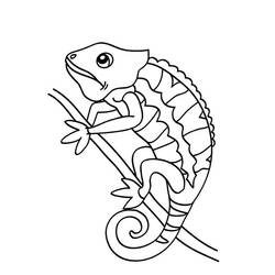 Coloring page: Chameleon (Animals) #1399 - Printable coloring pages