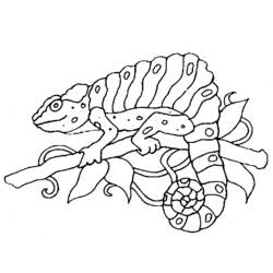 Coloring page: Chameleon (Animals) #1405 - Printable Coloring Pages