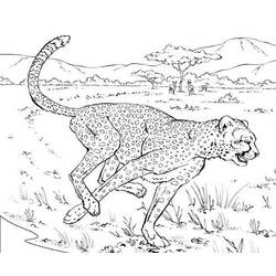 Coloring page: Cheetah (Animals) #7880 - Printable coloring pages