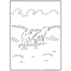 Coloring page: Cheetah (Animals) #7881 - Printable coloring pages