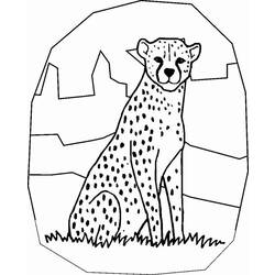 Coloring page: Cheetah (Animals) #7882 - Printable coloring pages