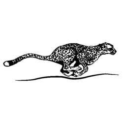 Coloring page: Cheetah (Animals) #7890 - Printable coloring pages