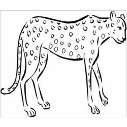 Coloring page: Cheetah (Animals) #7897 - Printable coloring pages