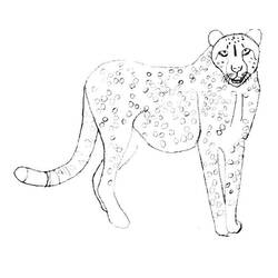 Coloring page: Cheetah (Animals) #7898 - Printable coloring pages