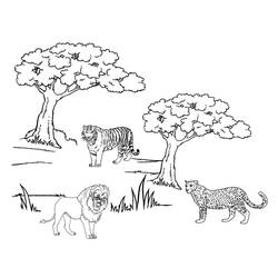 Coloring page: Cheetah (Animals) #8005 - Printable coloring pages